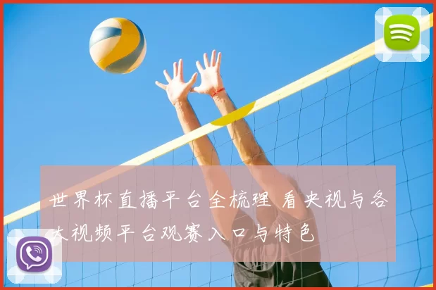 世界杯直播平台全梳理 看央视与各大视频平台观赛入口与特色