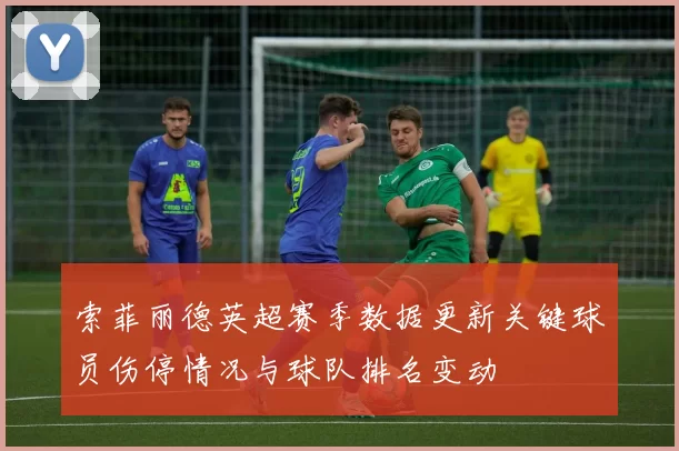 索菲丽德英超赛季数据更新关键球员伤停情况与球队排名变动