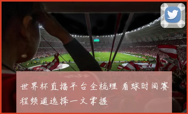 世界杯直播平台全梳理 看球时间赛程频道选择一文掌握