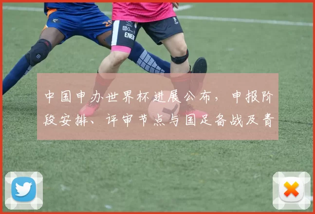 中国申办世界杯进展公布，申报阶段安排、评审节点与国足备战及青训影响